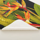 パラダイスの鳥 シェルパブランケット (3/4)