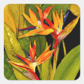 パラダイスの鳥 スクエアシール (正面)