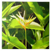 パラダイスの鳥 タイル (正面)