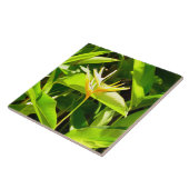 パラダイスの鳥 タイル (側面)