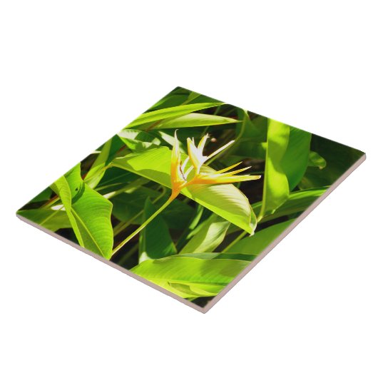 パラダイスの鳥 タイル (側面)