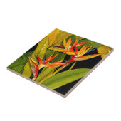 パラダイスの鳥 タイル (側面)