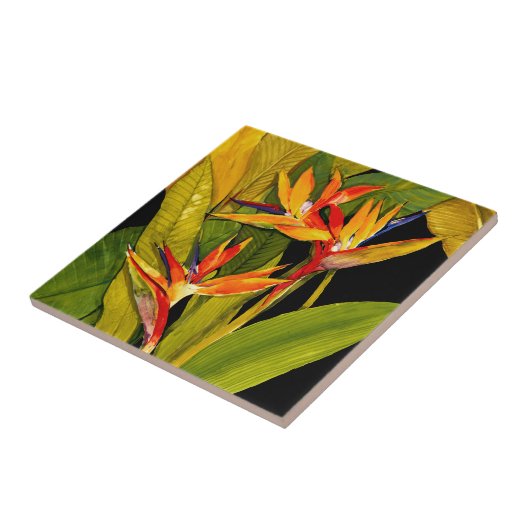 パラダイスの鳥 タイル (側面)