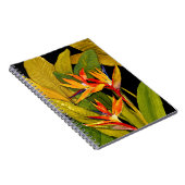 パラダイスの鳥 ノートブック (右側)