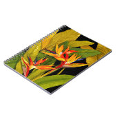 パラダイスの鳥 ノートブック (左側)