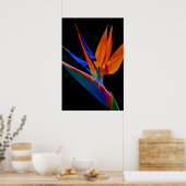 パラダイスの鳥 ポスター (キッチン)