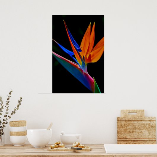 パラダイスの鳥 ポスター (キッチン)