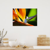 パラダイスの鳥 ポスター (キッチン)