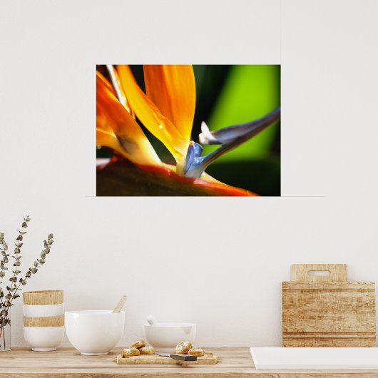 パラダイスの鳥 ポスター (キッチン)