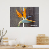 パラダイスの鳥 ポスター (キッチン)