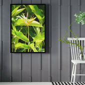 パラダイスの鳥 ポスター