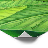 パラダイスの鳥 ポスター (角)