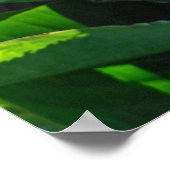 パラダイスの鳥 ポスター (角)