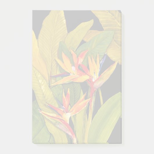 パラダイスの鳥 ポストイット (正面)