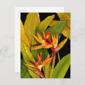 パラダイスの鳥 ポストカード (正面/裏面)