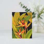 パラダイスの鳥 ポストカード (スタンド正面)