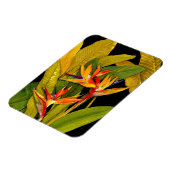 パラダイスの鳥 マグネット (左側)