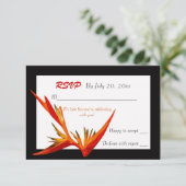 パラダイスの鳥 白の返信カード 招待状 (スタンド正面)