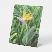 パラダイスの鳥(Strelitzia) 台座サイン (正面)