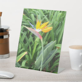 パラダイスの鳥(Strelitzia) 台座サイン
