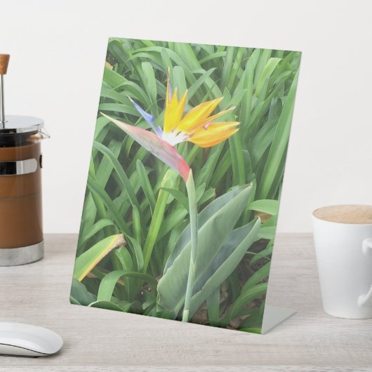 パラダイスの鳥(Strelitzia) 台座サイン (インサイチュ)