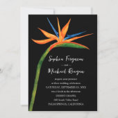 パラダイスの鳥QRコードすべて結婚の 招待状 (正面)