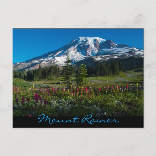 パラダイスは野草を生む ポストカード (正面)