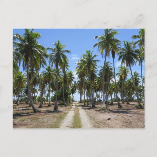 パラダイスへのランジロアの道 ポストカード (正面)