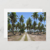 パラダイスへのRangiroa道路 ポストカード (正面/裏面)