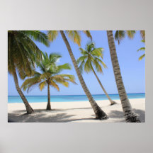 パラダイスへようこそ