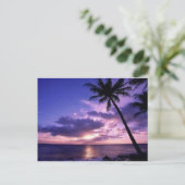 パラダイスアイランド ポストカード (スタンド正面)