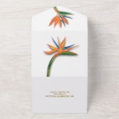 パラダイスウォーター色の鳥 オールインワン招待状 (外側)