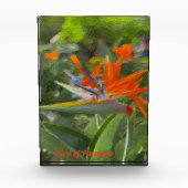 パラダイスオイル塗装 フォトブロック (正面)