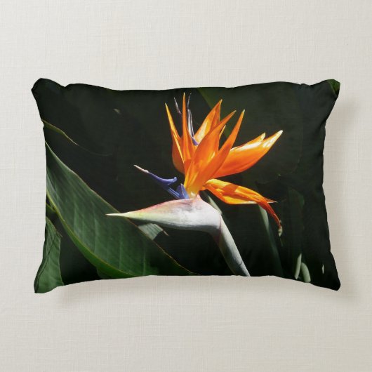 パラダイスオレンジトロピカルフラワーの鳥 アクセントクッション (正面)