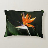 パラダイスオレンジトロピカルフラワーの鳥 アクセントクッション (裏面)