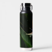 パラダイスオレンジトロピカルフラワーの鳥 ウォーターボトル (正面)