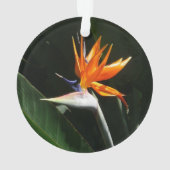 パラダイスオレンジトロピカルフラワーの鳥 オーナメント (裏面)