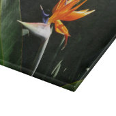 パラダイスオレンジトロピカルフラワーの鳥 カッティングボード (角)