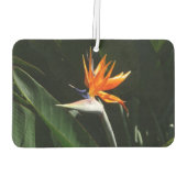 パラダイスオレンジトロピカルフラワーの鳥 カーエアーフレッシュナー (裏面)