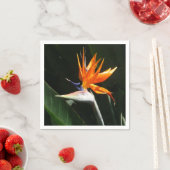 パラダイスオレンジトロピカルフラワーの鳥 スタンダードカクテルナプキン (インサイチュ)