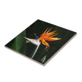 パラダイスオレンジトロピカルフラワーの鳥 タイル (側面)