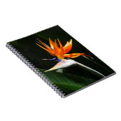 パラダイスオレンジトロピカルフラワーの鳥 ノートブック (右側)