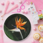 パラダイスオレンジトロピカルフラワーの鳥 ペーパープレート (パーティー)