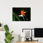 パラダイスオレンジトロピカルフラワーの鳥 ポスター (ホームオフィス)