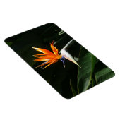 パラダイスオレンジトロピカルフラワーの鳥 マグネット (右側)