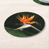 パラダイスオレンジトロピカルフラワーの鳥 ラウンドペーパーコースター (アングル)