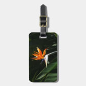 パラダイスオレンジトロピカルフラワーの鳥 ラゲッジタグ (正面縦)
