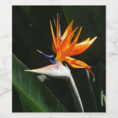 パラダイスオレンジトロピカルフラワーの鳥 ワインラベル (シングルラベル)