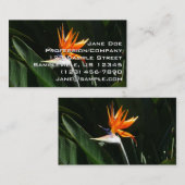 パラダイスオレンジトロピカルフラワーの鳥 名刺 (正面/裏面)