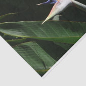 パラダイスオレンジトロピカルフラワーの鳥 薄葉紙 (詳細)